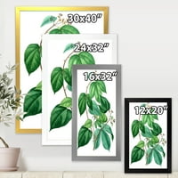 DEIDNART 'Drevni zeleni listovi biljke III' Tradicionalni uokvireni umjetnički print
