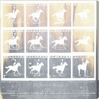 Wynwood Studio životinje zid Art platnu Prints 'konja u pokretu' Domaće životinje-Bijela, braon