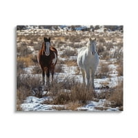 Stupell Industries par konja koji šetaju travnjakom prekrivenim snijegom Galerija fotografija umotana platnena štampa zidna umjetnost, dizajn Jeff Poe Photography