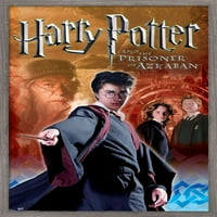 Harry Potter i zatvorenik Azkabana - Timski zidni poster, 22.375 34