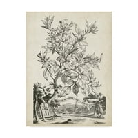 Zaštitni znak likovne umjetnosti' Scenic Botanical II ' platnena Umjetnost Abrahama Muntinga
