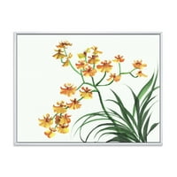 Designart' Žute Vintage Orhideje Na Bijelom ' Tradicionalni Uramljeni Platneni Zidni Umjetnički Print